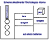 sch filter biol interno.png (12369 byte)